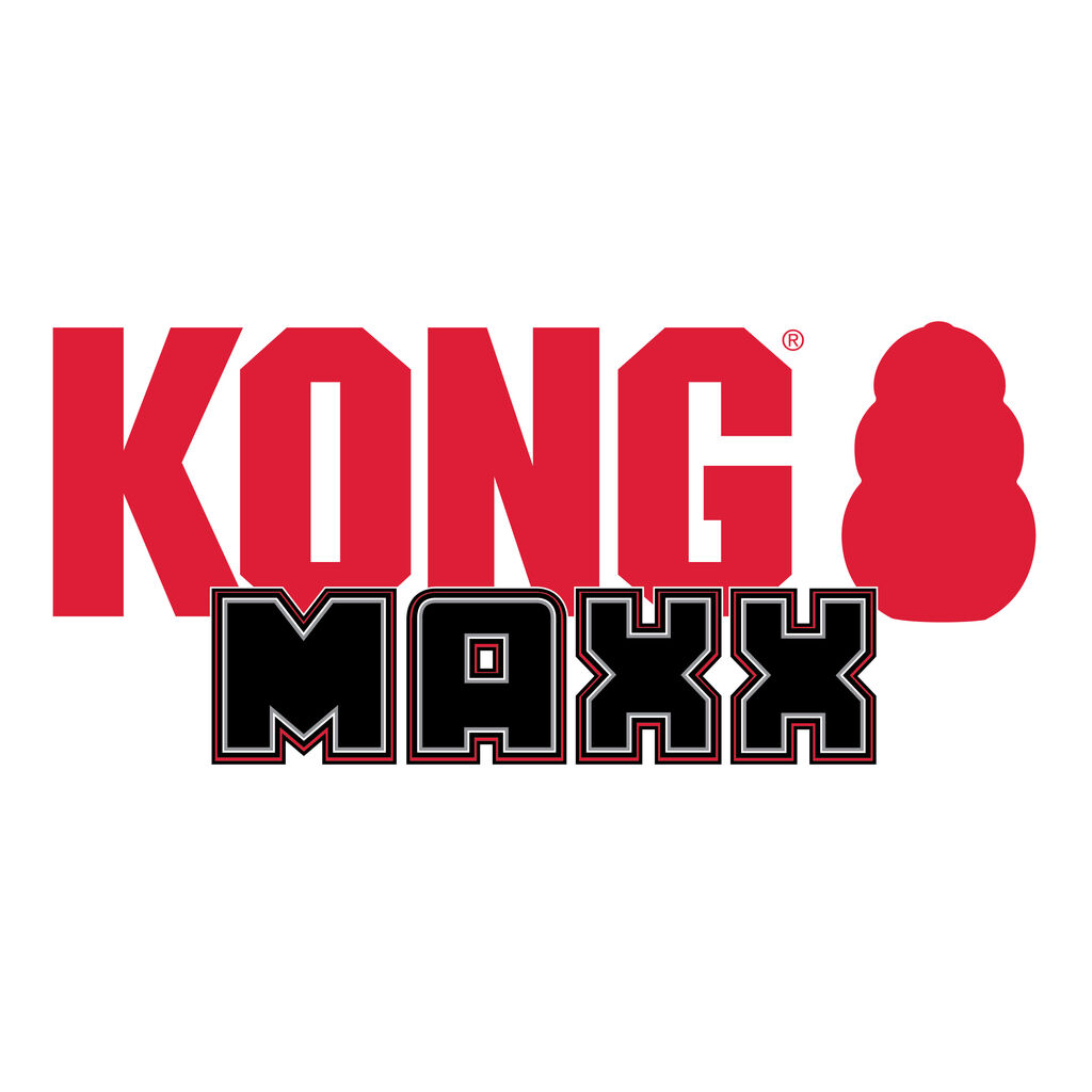 KONG-Hundespielzeug-Maxx-Friends-Schildkroete-stabiles-Apportierspielzeug-56-52346 KONG-Hundespielzeug-Maxx-Friends-Schildkroete-stabiles-Apportierspielzeug-56-52346