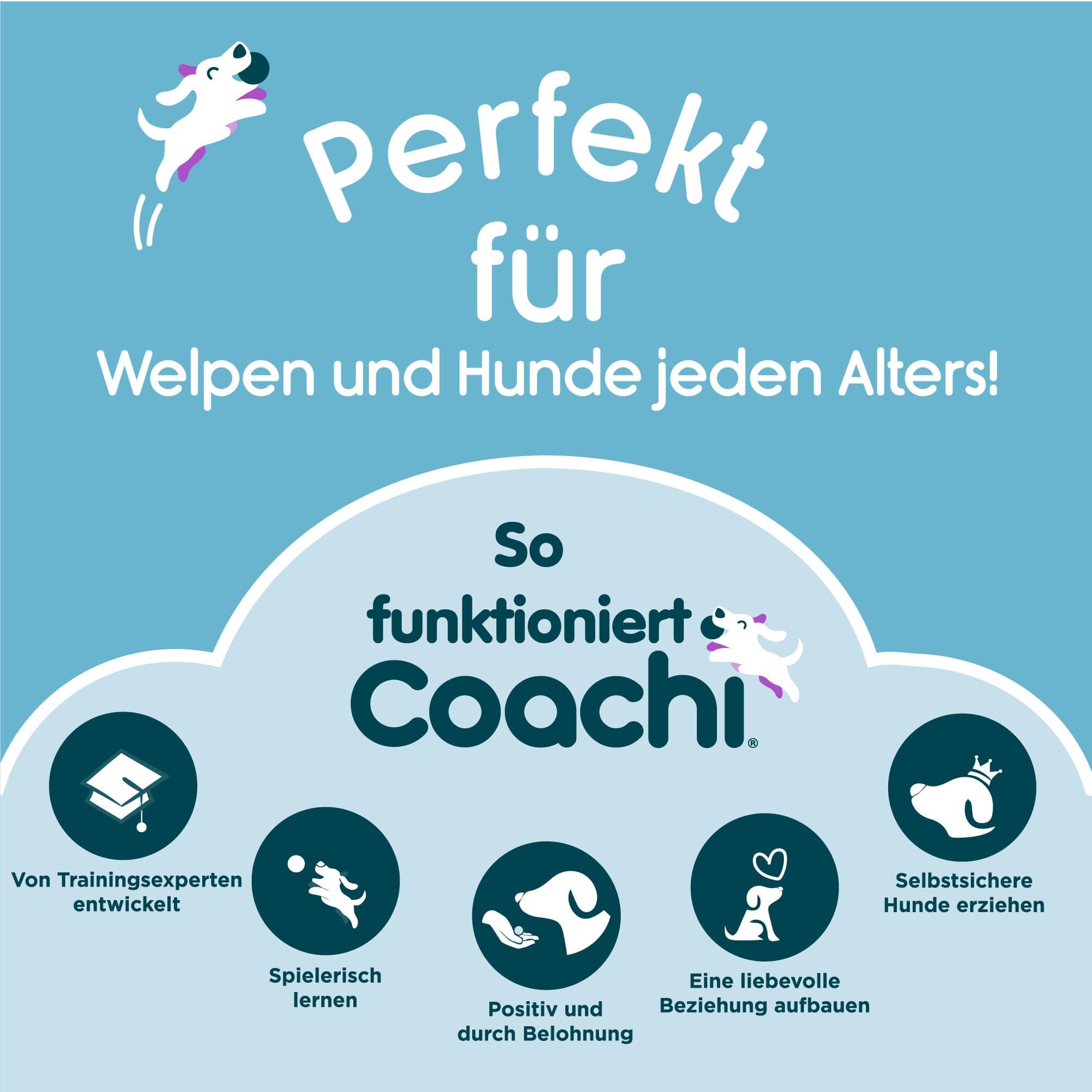 Company-of-Animals-Coachi-3-Phasen-des-Hundetrainings-Lernen-Spielen-Spaß-und-Tricks-fuer-alle-Altersgruppen