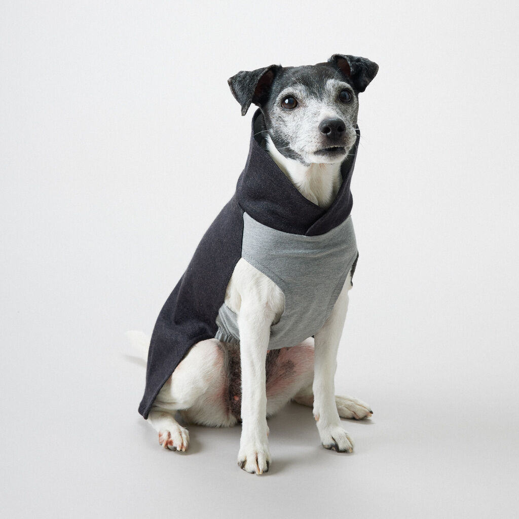 PAIKKA-Hundepullover-waermend-Recovery-Winter-Shirt-Grau-Hundeshirt-Kaelteschutz-60-46165