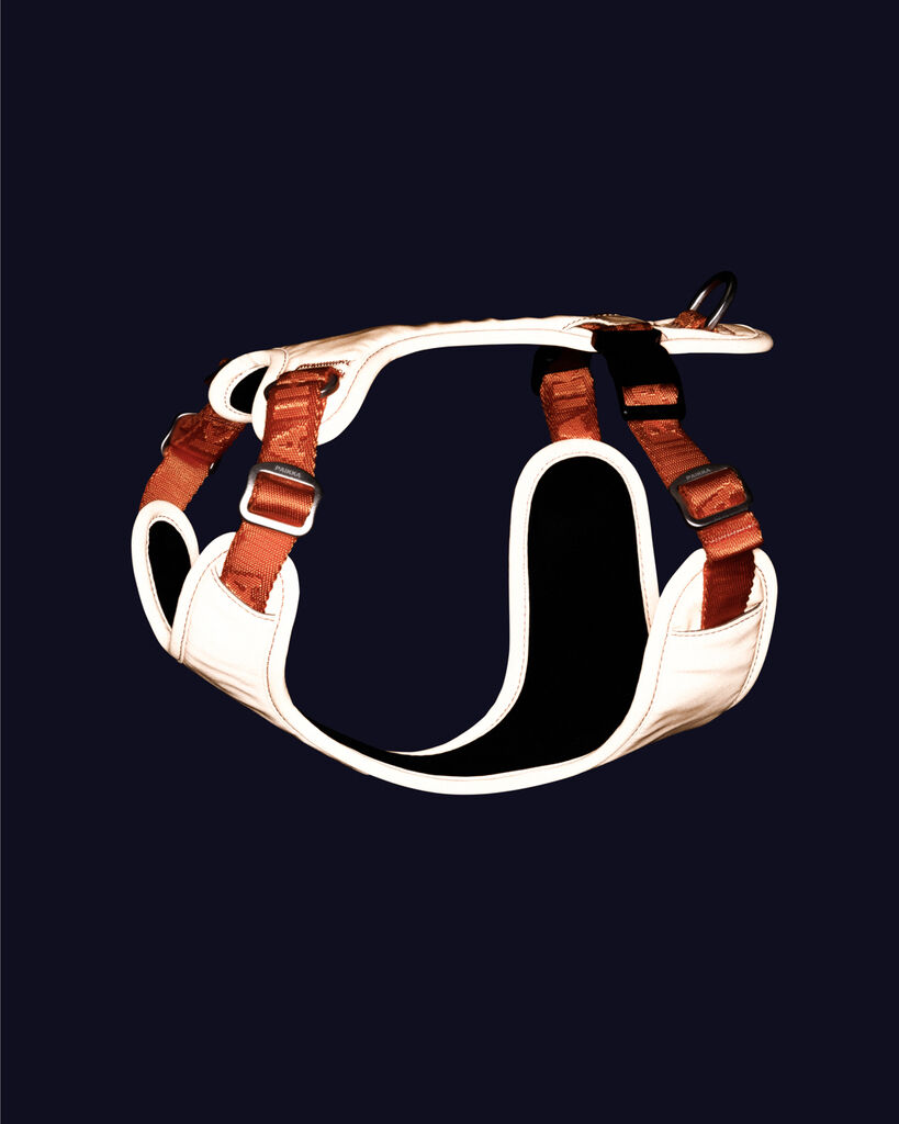 PAIKKA-Hundegeschirr-reflektierend-Visibility-Harness-orange-Hundegeschirr-verstellbar-60-46397 PAIKKA-Hundegeschirr-reflektierend-Visibility-Harness-orange-Hundegeschirr-verstellbar-60-46397