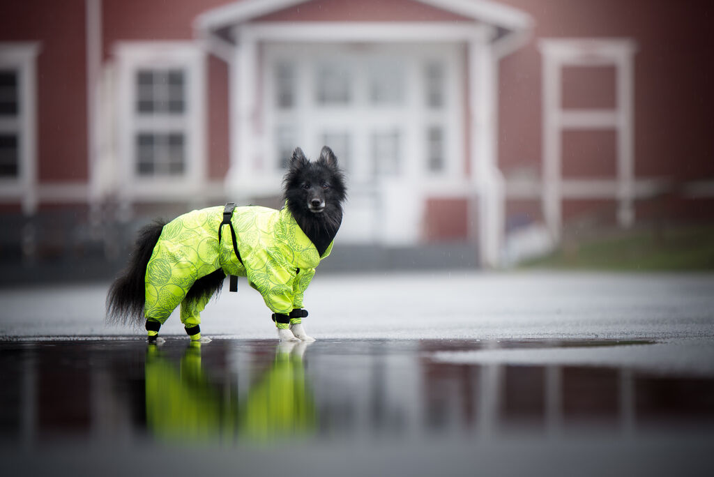 PAIKKA-Regenanzug-Neon-leicht-reflektierend-Rain-Suit-Neon-gut-sichtbarer-Regenmantel-fuer-Hunde-60-46478