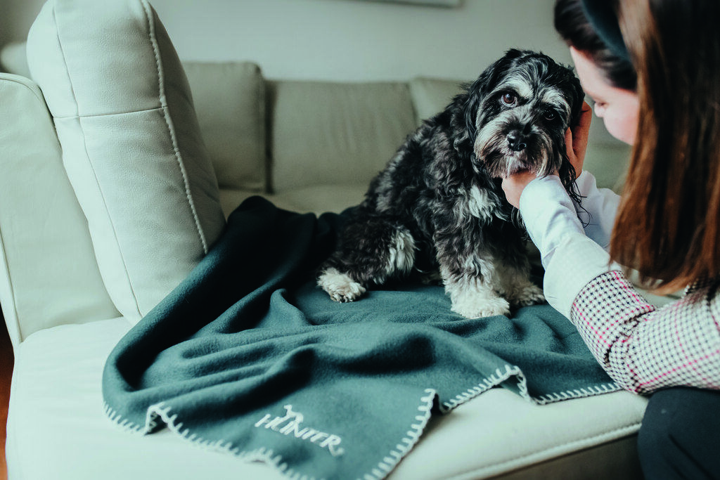 Hunter-Hundedecke-Casper-anthrazit-Fleecedecke-Hunde-waschbar-H-67705 Hunter-Hundedecke-Casper-anthrazit-Fleecedecke-Hunde-waschbar-H-67705