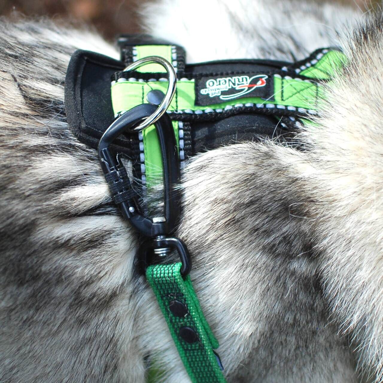 Finnero-Rescue-Antislip-Leine-gruen-Hund-Leine-Anti-rutsch-Grip-44-00990