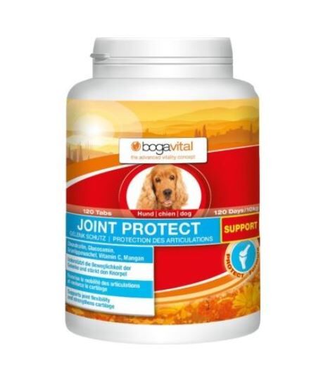 Bogavital-Joints-Protect-Support-hund-online-kaufen-BG-83272