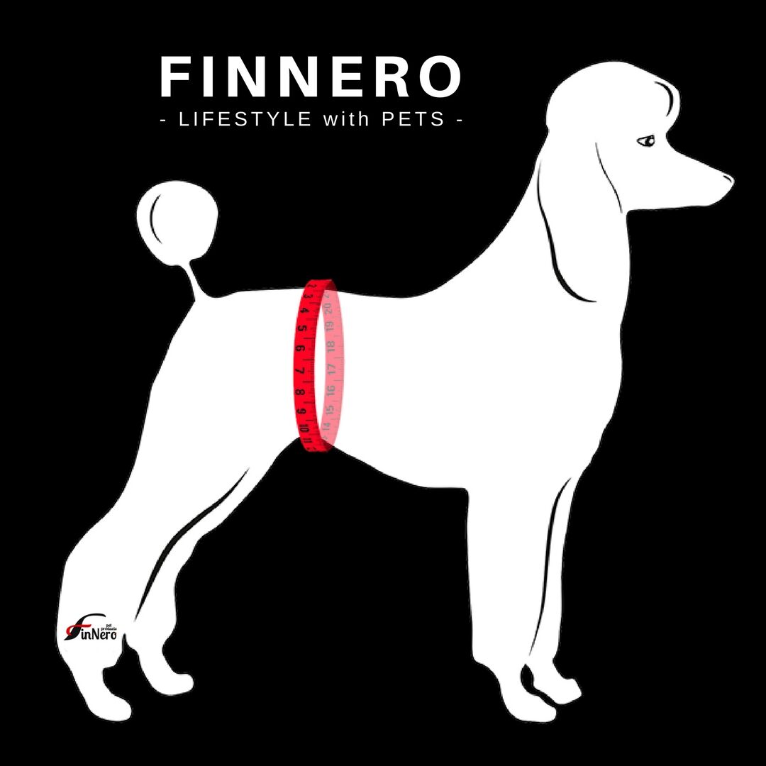 FinNero-BRENDA-Laeufigkeitshose-Hunde-windel-44-00728