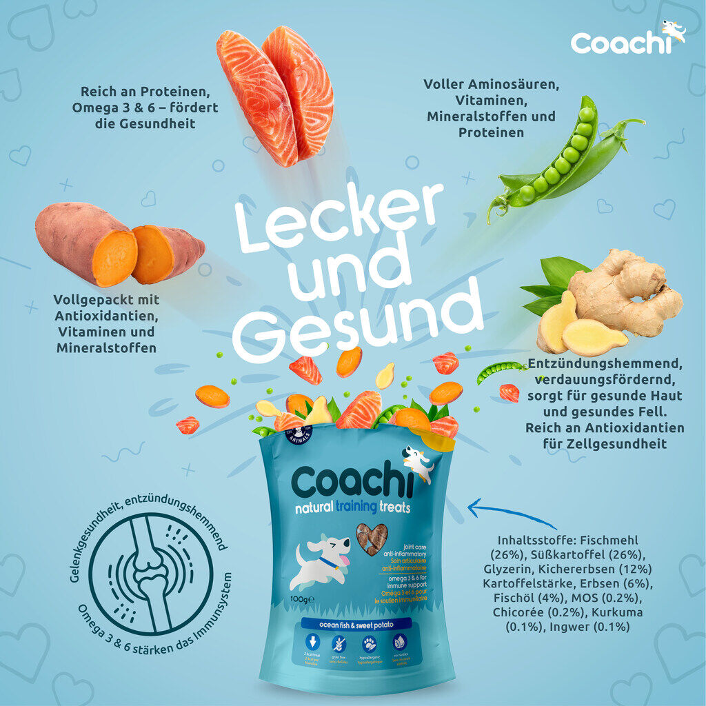 Company-of-Animals-Coachi-Trainingsleckerlis-Hund-Omega-3-6-50-54310