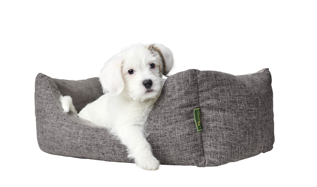 Hunter-Orthopaedisches-Hundesofa-Seattle-grau-gemuetliches-Hundebett-H-69920 Hunter-Orthopaedisches-Hundesofa-Seattle-grau-gemuetliches-Hundebett-H-69920