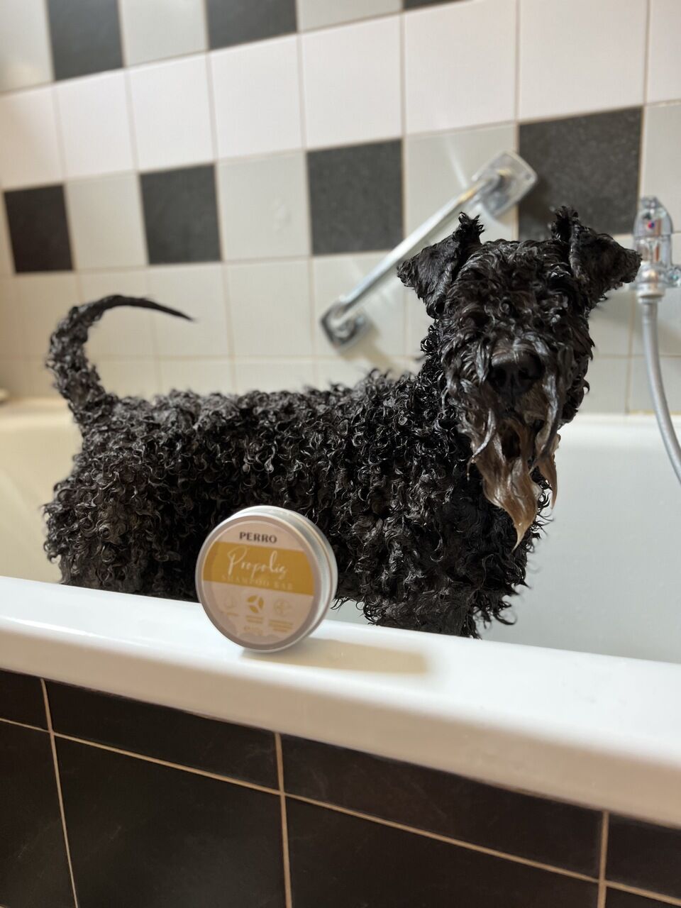 PERRO-Premium-Pet-Care-Shampoo-Bar-festes-Hundeshampoo-Hunde-waschen-baden-14232