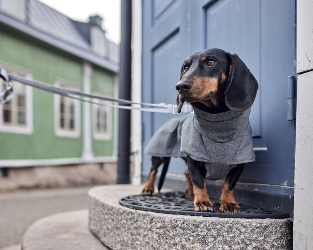 Hurtta-Expedition-Parker-II-blackberry-wasserdichter-Hundemantel-HU-934780 Hurtta-Expedition-Parker-II-blackberry-wasserdichter-Hundemantel-HU-934780