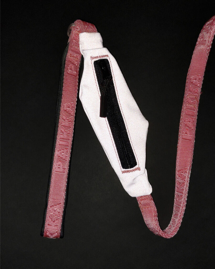 PAIKKA-Hundeleine-Visibility-Leash-180cm-Pink-Alltagsleine-mit-integriertem-Fach-fuer-Kotbeutel-60-46409 PAIKKA-Hundeleine-Visibility-Leash-180cm-Pink-Alltagsleine-mit-integriertem-Fach-fuer-Kotbeutel-60-46409