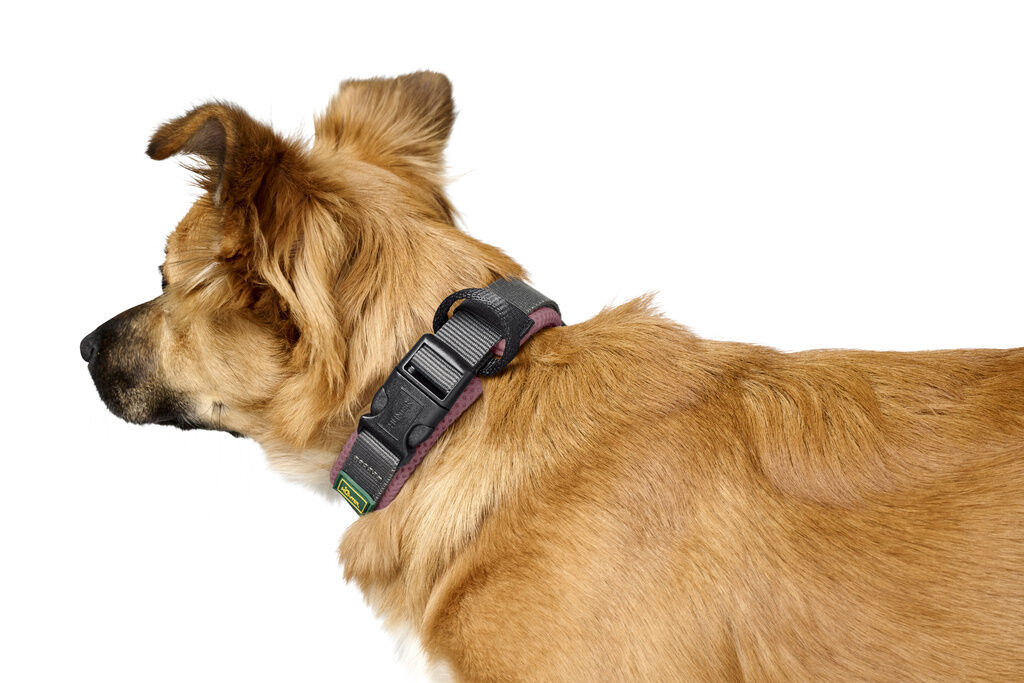 Hunter-Halsung-Maldon-altrosa-grau-flexibles-Hundehalsband-mit-Klickverschluss-H-205394 Hunter-Halsung-Maldon-altrosa-grau-flexibles-Hundehalsband-mit-Klickverschluss-H-205394