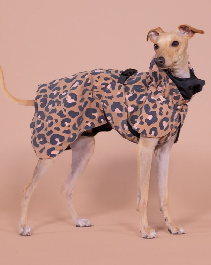 PAIKKA-Regenmantel-leicht-und-reflektierend-Visibility-Raincoat-Lite-Leo-reflektierende-wasserdichte-Regenjacke-fuer-Hunde-60-46242