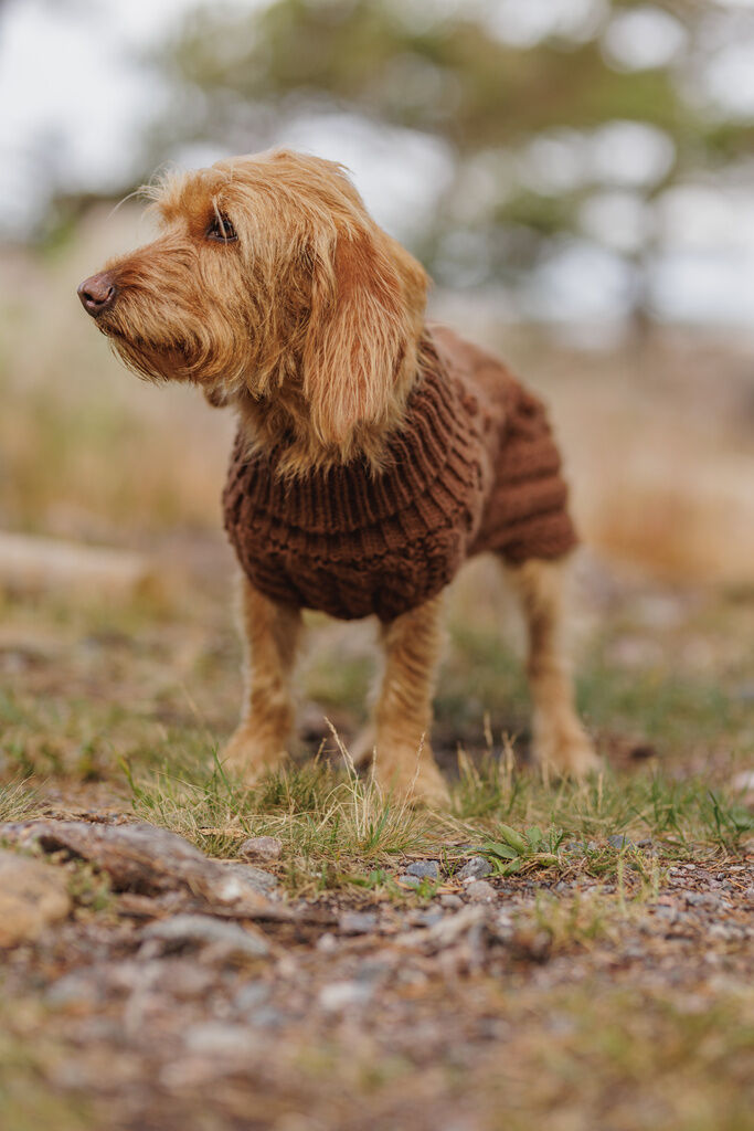 PAIKKA-Strickpullover-Handmade-Knit-Sweater-Camel-Hundepullover-warm-60-46788