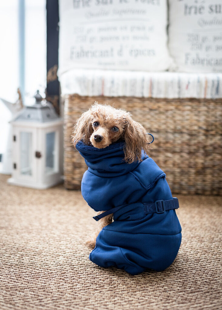 PAIKKA-Drying-Coat-2Go-Bademantel-Navy-Trockenmantel-fuer-nasse-Hunde-60-46603