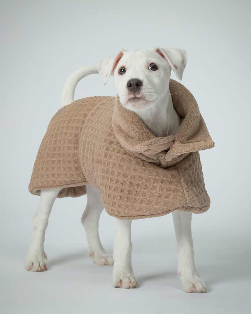 PAIKKA-Drying-Coat-Spa-Bademantel-Taupe-Hundehandtuch-aus-Frottee-60-46583 PAIKKA-Drying-Coat-Spa-Bademantel-Taupe-Hundehandtuch-aus-Frottee-60-46583