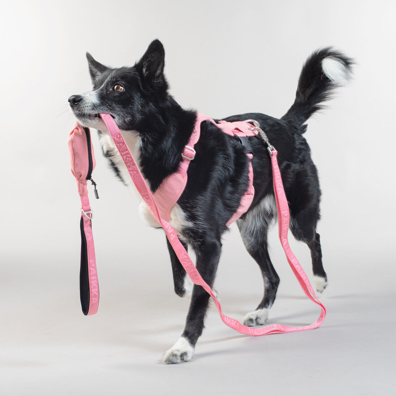 PAIKKA-Hundeleine-Visibility-Leash-180cm-Pink-Hundeleine-mit-Reflektor-60-46409 PAIKKA-Hundeleine-Visibility-Leash-180cm-Pink-Hundeleine-mit-Reflektor-60-46409
