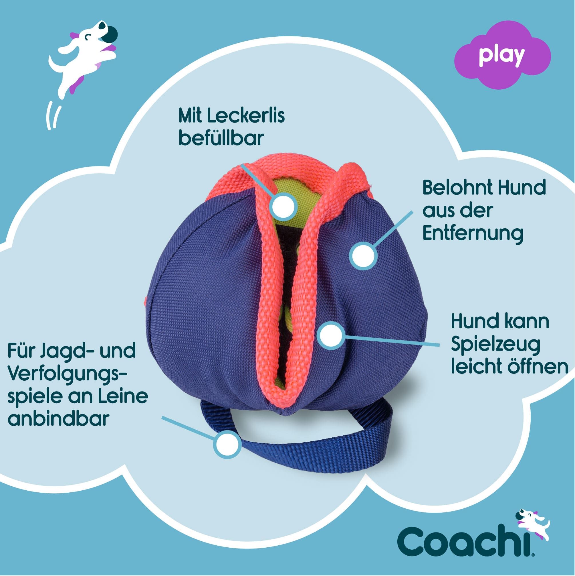 Company-of-Animals-Coachi-Chase-and-Treat-Belohnungsball-Bestaetigung-aus-der-Ferne-leicht-zu-oeffnen-50-41620