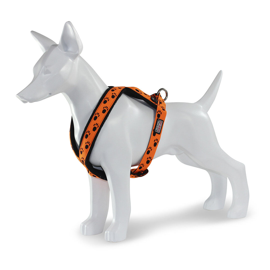 PERRO-dog-gear-Touren-Geschirr-NEON-orange-joggen-laufen-Training-mit-Hund-90712