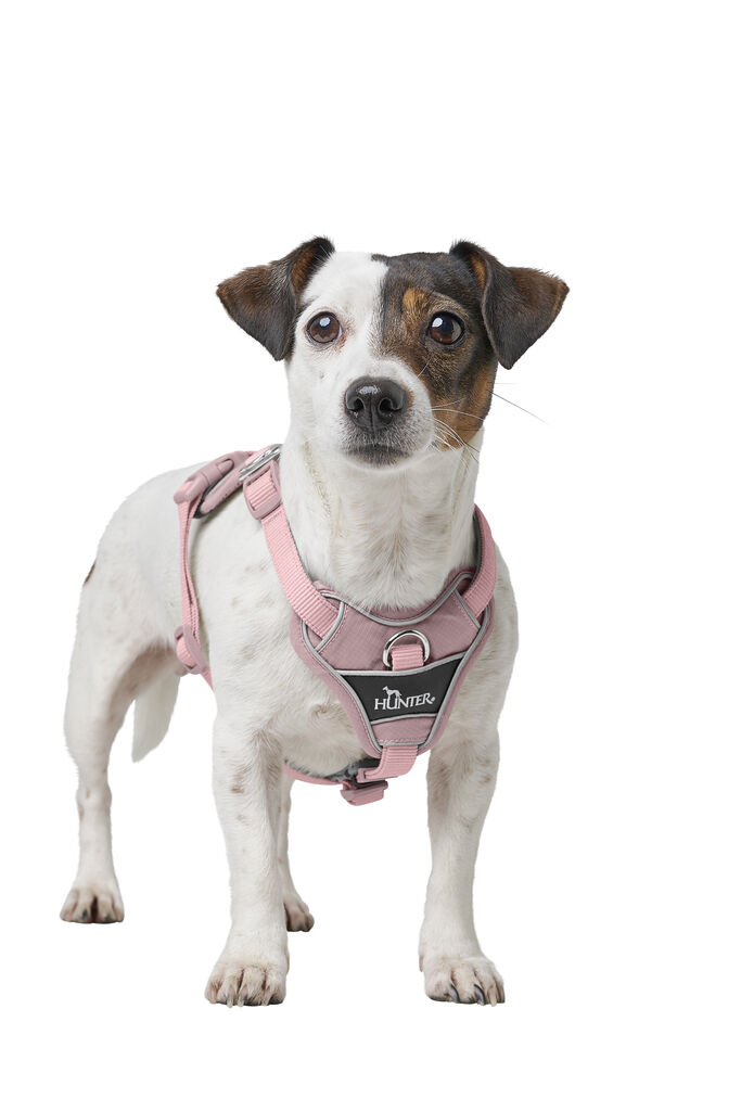 Hunter-Geschirr-Divo-Up-altrosa-Hundegeschirr-gepolstert-und-robust-H-201771 Hunter-Geschirr-Divo-Up-altrosa-Hundegeschirr-gepolstert-und-robust-H-201771