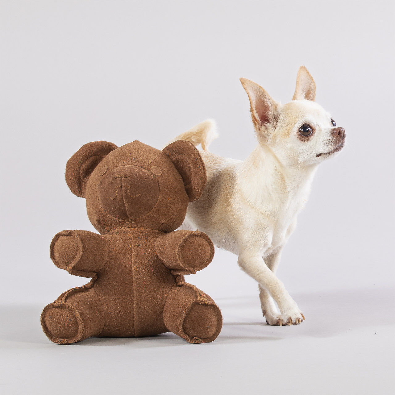 PAIKKA-Teddy-toy-Teddybaer-Hundespielzeug6-60-46382