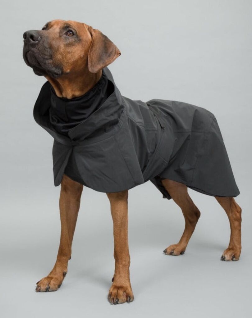 PAIKKA-Regenmantel-reflektierend-Visibility-Raincoat-Dark-Hundemantel-ungefuettert-mit-Reflektoren-60-46367