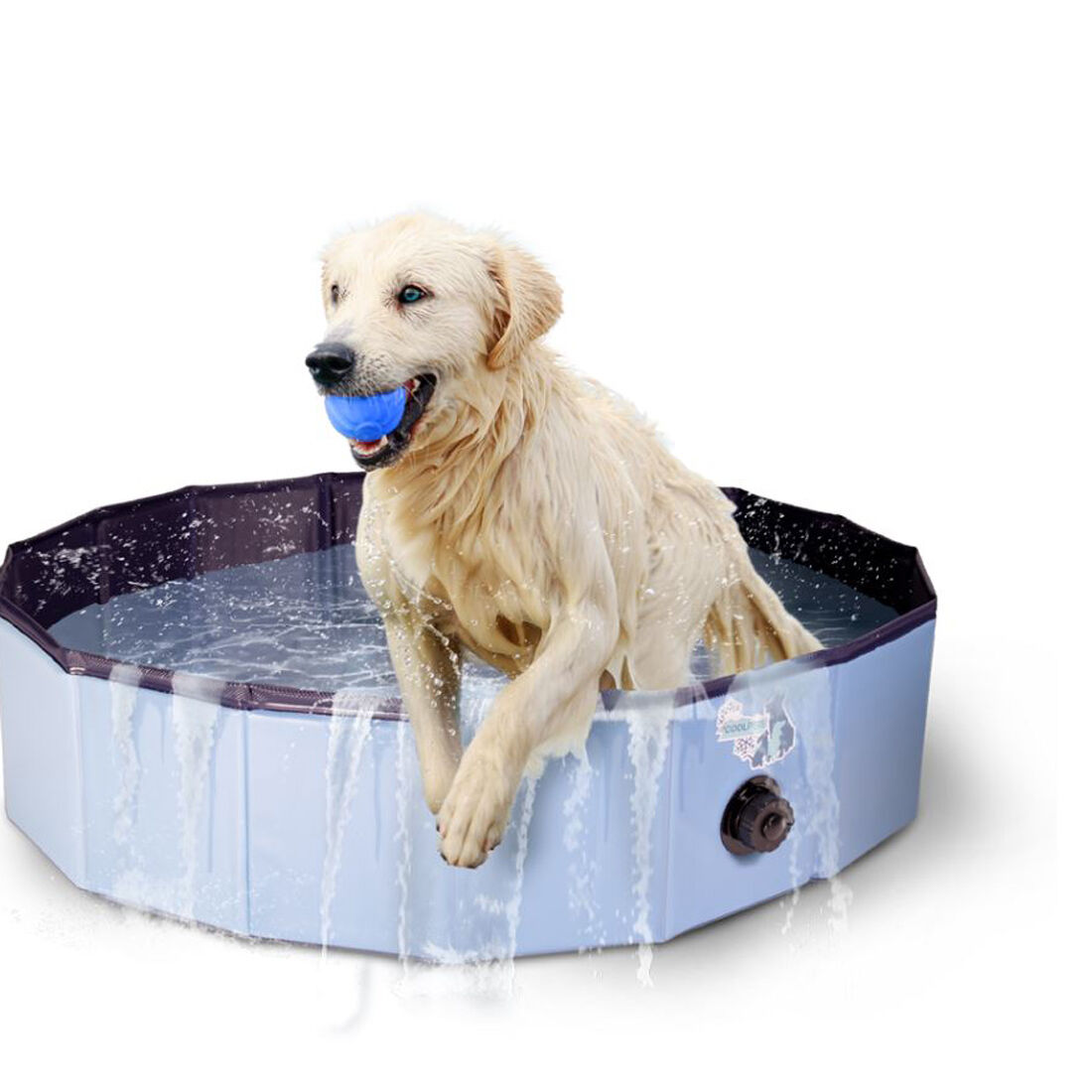 Animal-Care-CoolPets-Hundepool-pool-fuer-hunde-geeignet-L-28-59061
