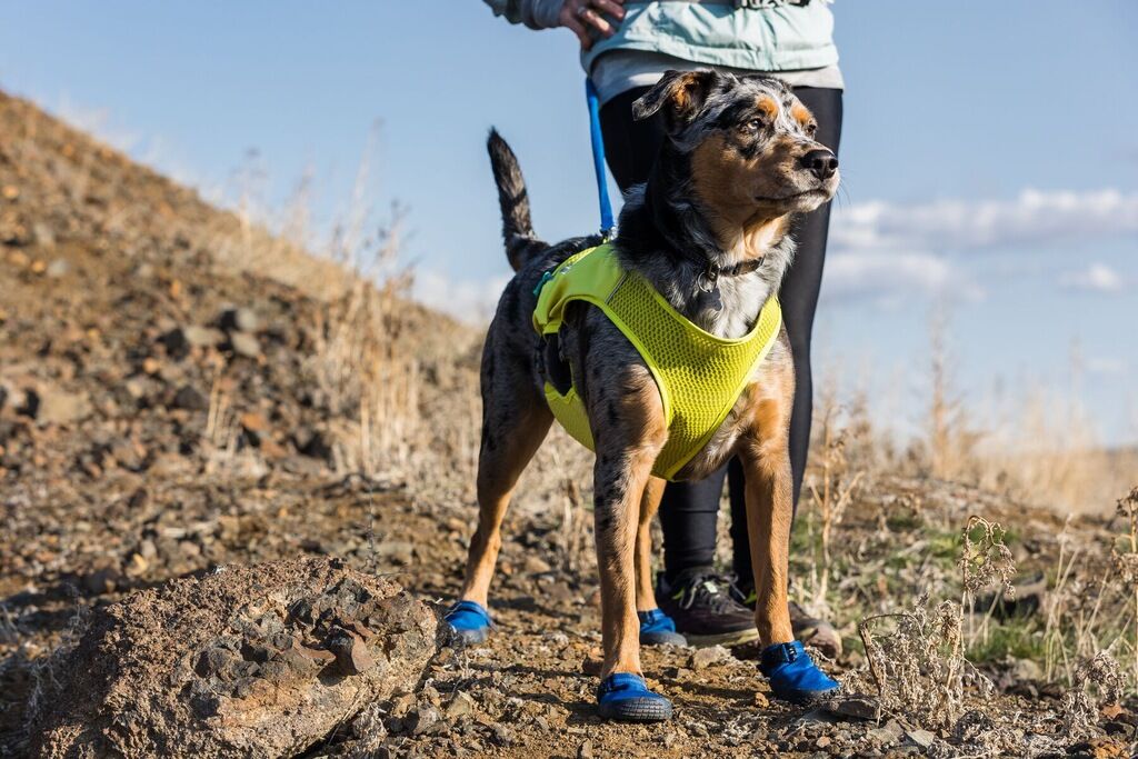 RUFFWEAR-Leichte-Hundeschuhe-Hi-and-Light-Trail-Shoes-rutschfeste-Wanderschuhe-fuer-Hunde-Blue-Pool-RU-02475