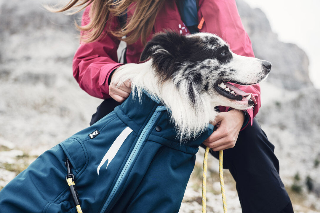 Hurtta-chill-stopper-jacke-petrol-hund-profil-HU-932441 Hurtta-chill-stopper-jacke-petrol-hund-profil-HU-932441