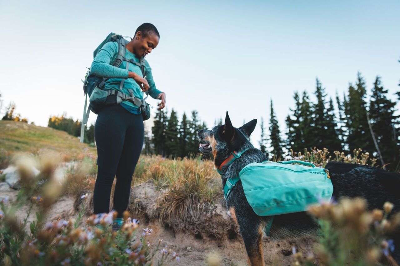 RUFFWEAR-Hunderucksack-Front-Range-Day-Pack-Hunde-Rucksack-Trekking-River-Rock-Green-RU-07164