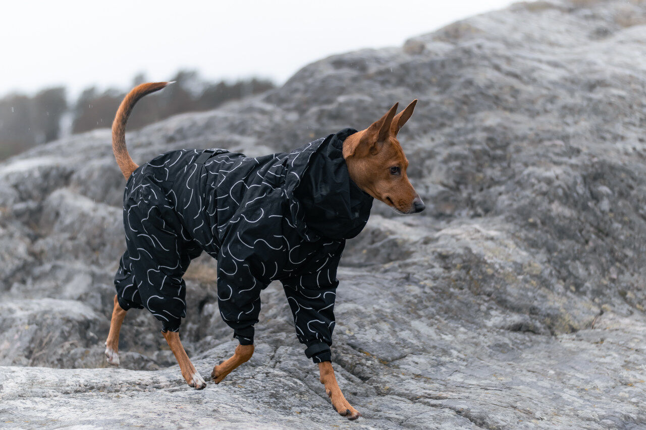 PAIKKA-Winter-Suit-Hundeoverall-Image3-60-46341