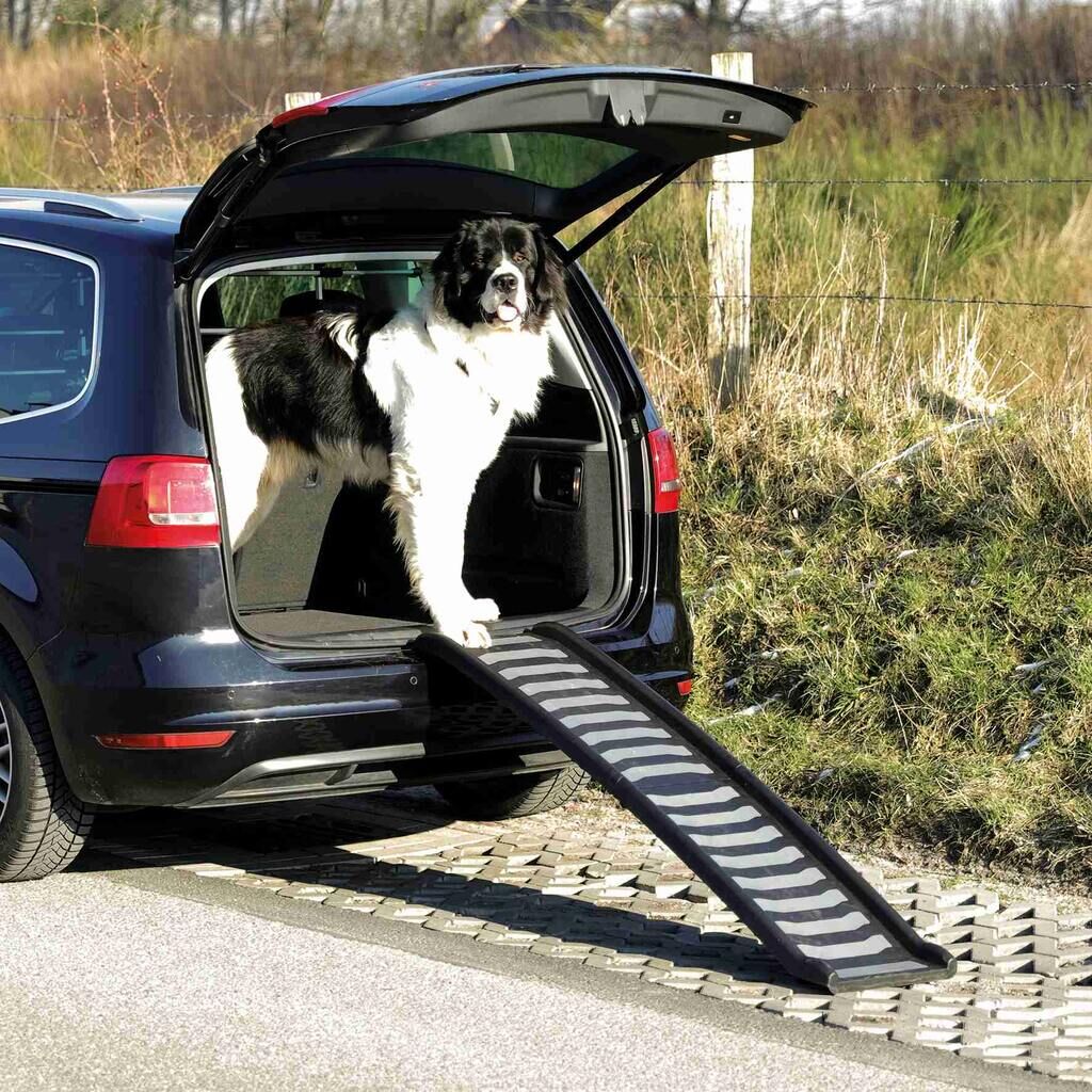 Trixie-Klapp-Rampe-Kunststoff-Einstiegshilfe-Kofferraum-Hunde-24-39477 Trixie-Klapp-Rampe-Kunststoff-Einstiegshilfe-Kofferraum-Hunde-24-39477
