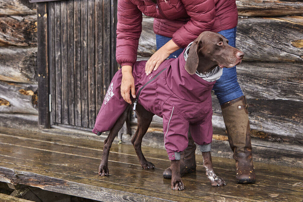 Hurtta-Extreme-Overall-Hunde-wasserdichter-Windschutz-HU-933840
