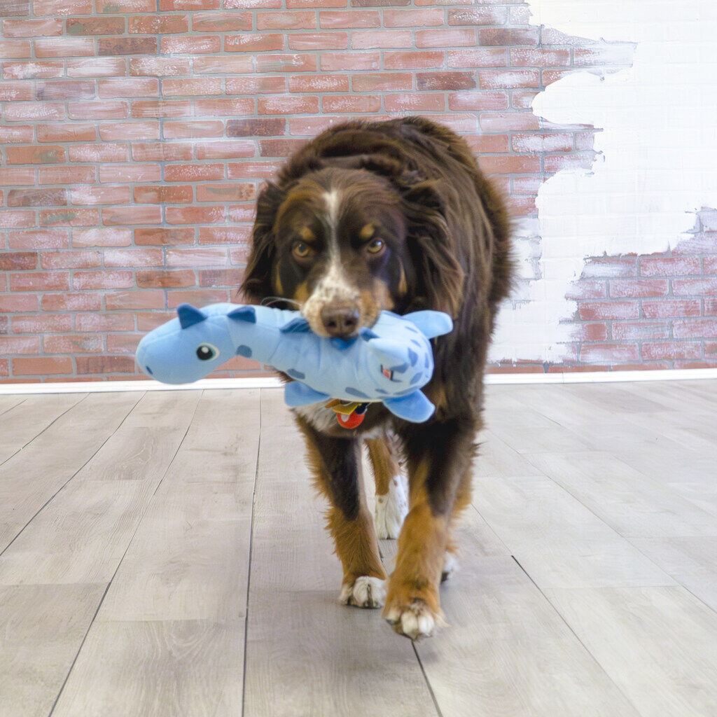 KONG-Dynos-Roars-Plüschspielzeug-fuer-Hunde-56-49953 KONG-Dynos-Roars-Plüschspielzeug-fuer-Hunde-56-49953
