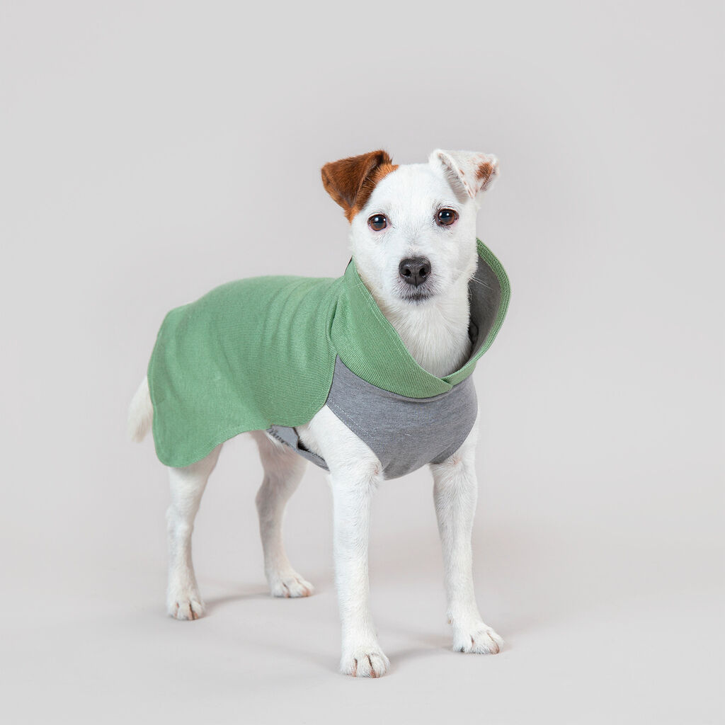 PAIKKA-Hundepullover-waermend-Recovery-Winter-Shirt-Gruen-warmer-Pullover-fuer-Hunde-60-46165