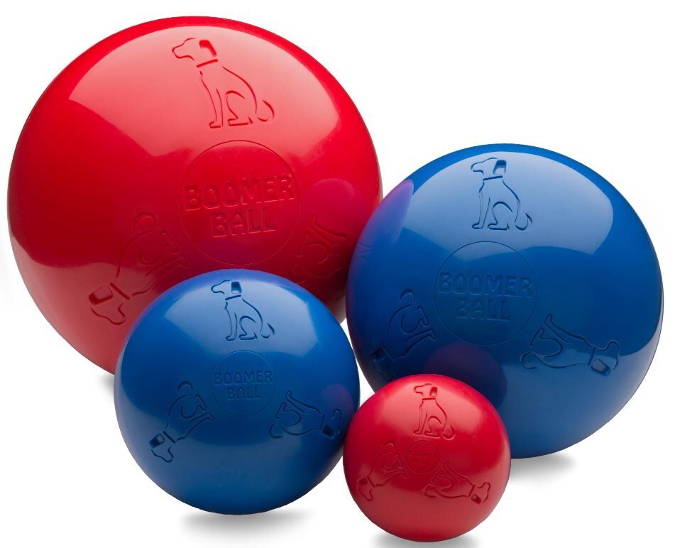 Mugford-Boomer-Ball-Hundeball-robust-RM-TB03