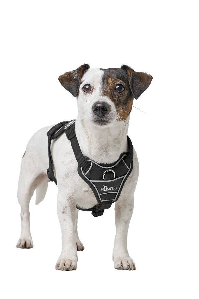 Hunter-Geschirr-Divo-Up-schwarz-reflektierendes-Hundegeschirr-H-201771