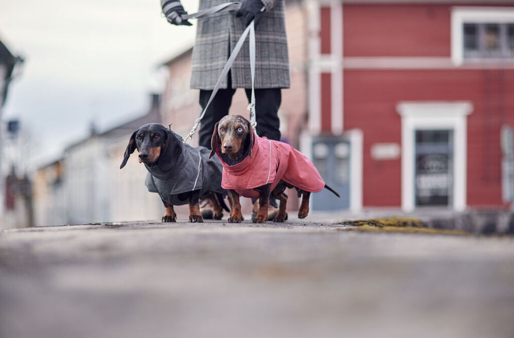 Hurtta-Expedition-Parker-II-blackberry-Wintermantel-fuer-Hunde-HU-934780 Hurtta-Expedition-Parker-II-blackberry-Wintermantel-fuer-Hunde-HU-934780