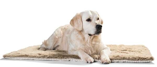 Hunter-Hundedecke-Astana-Hunde-Kuschel-Decke-H-61928