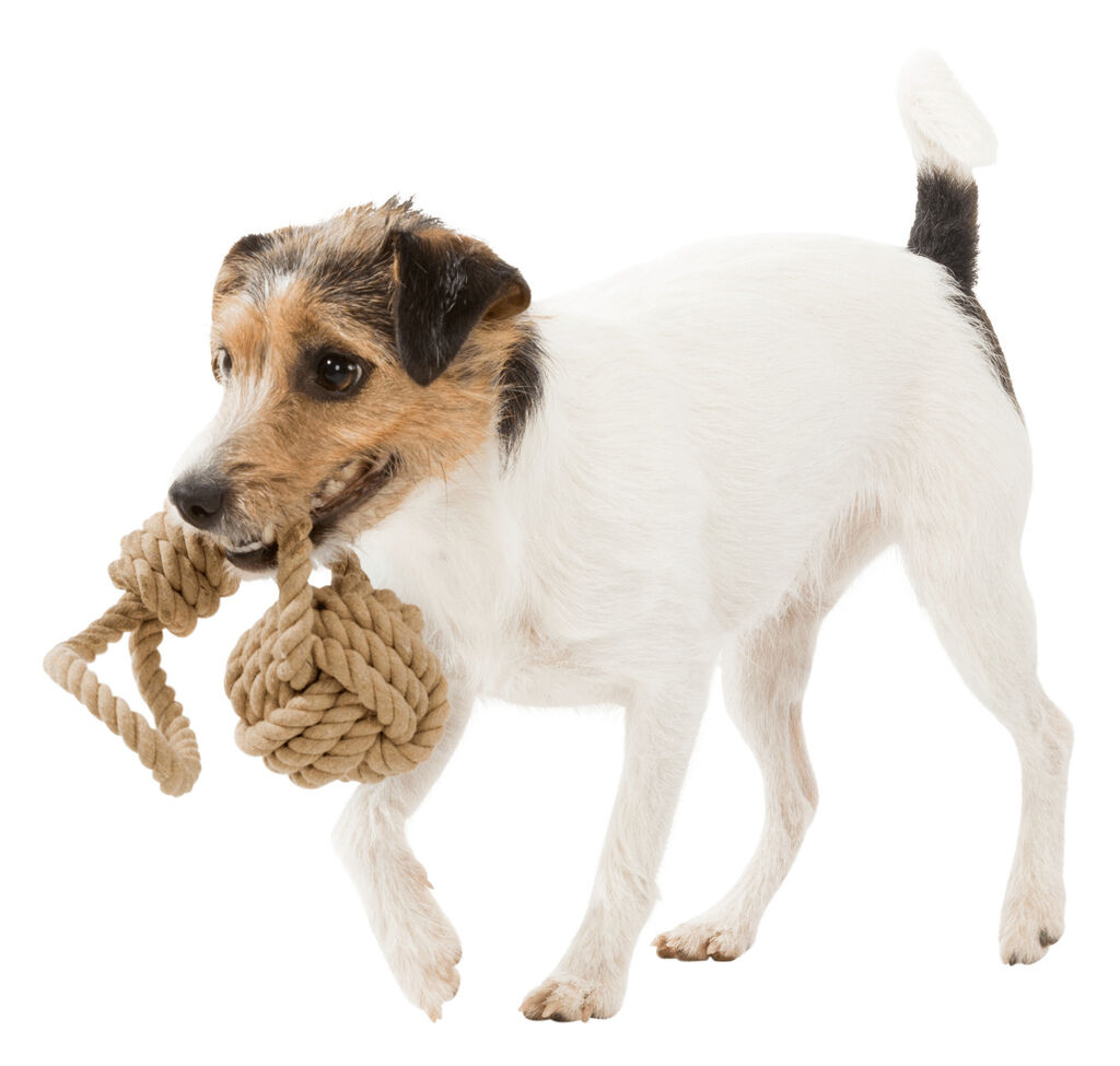 Trixie-Be-Nordic-Knoten-Ball-am-Tau-Knotenseil-fuer-Hunde-24-32632 Trixie-Be-Nordic-Knoten-Ball-am-Tau-Knotenseil-fuer-Hunde-24-32632