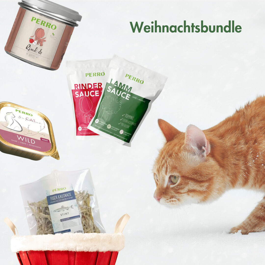 PERRO-Weihnachtsbundle-leckeres-Futterpaket-fuer-Katzen-BUNDLE1-XMAS-KATZE