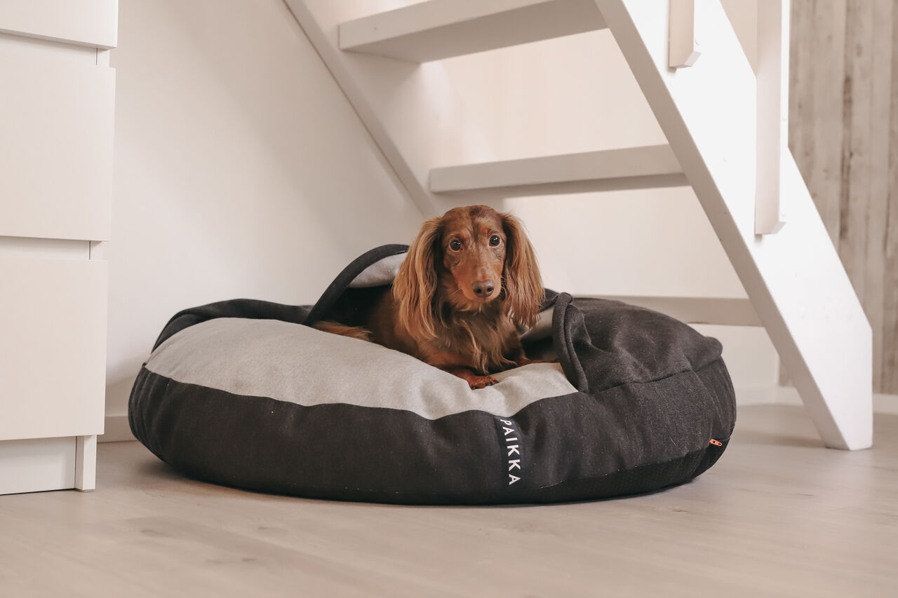 PAIKKA-Hundehoehle-und-Kissen-Recovery-Burrow-Bed-Grau-kuschelig-warme-Hundehoehle-60-46136