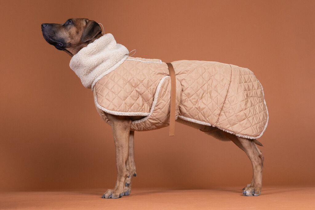 PAIKKA-Sherpa-Steppjacke-Camel-Hundesteppmantel-wendbar-60-46873