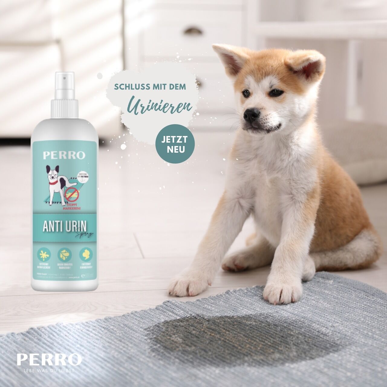 PERRO-Premium-Pet-Care-Anti-Urinspray-Hund-gegen-Markieren-im-Haus-14226