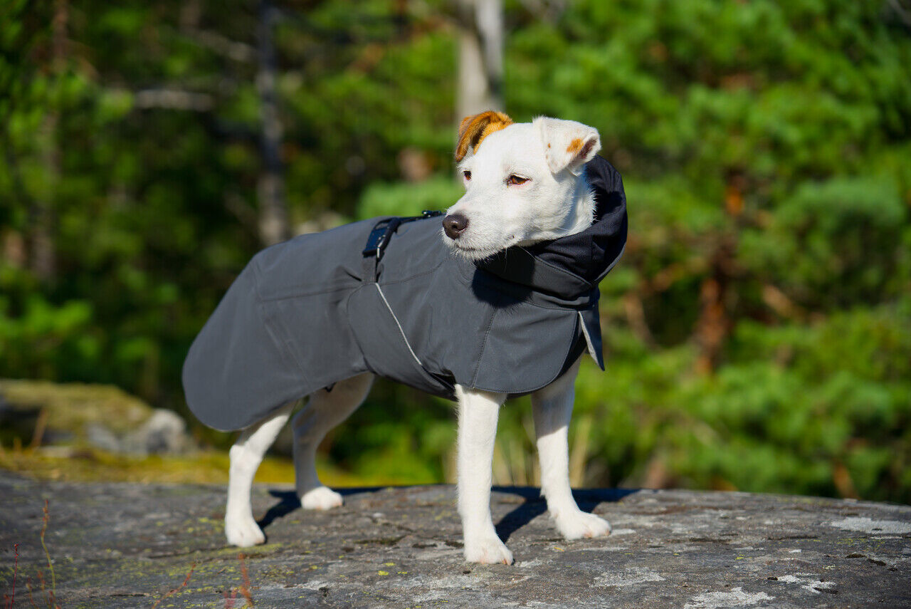 Paikka-Visibility-Winter-Jacke-dark-grau-reflektierend-waermend-wasserabweisend-Jack-Russel-Terrier-im-Wald-60-46199 Paikka-Visibility-Winter-Jacke-dark-grau-reflektierend-waermend-wasserabweisend-Jack-Russel-Terrier-im-Wald-60-46199