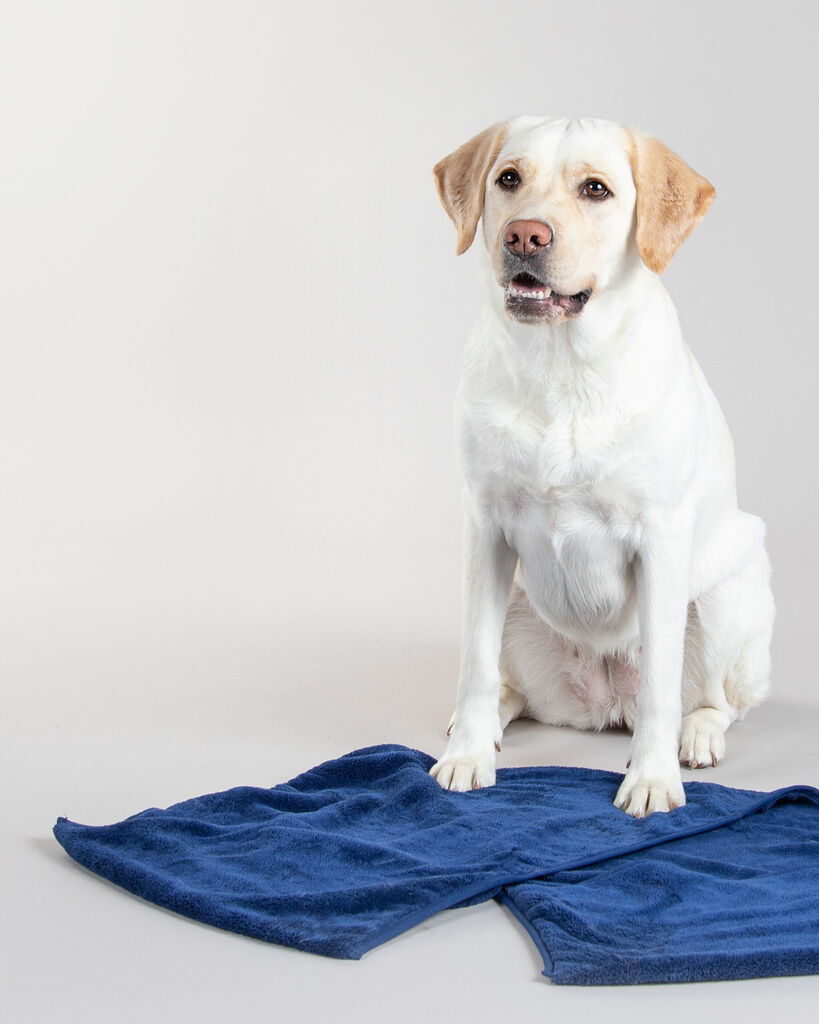 PAIKKA-Drying-Towel-Comfort-Navy-Hunde-abtrocknen-mit-Bade-Microfasertuch-60-46643