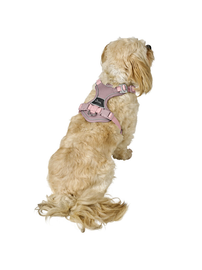 Hunter-Geschirr-Divo-Up-altrosa-reflektierendes-Hundegeschirr-H-201771 Hunter-Geschirr-Divo-Up-altrosa-reflektierendes-Hundegeschirr-H-201771
