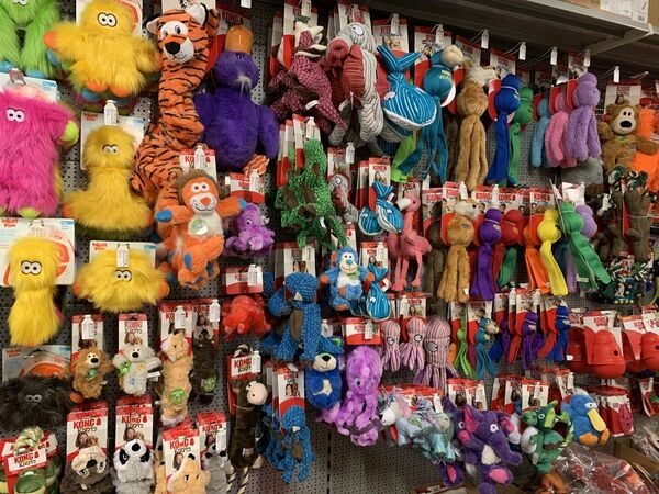 PERRO Shop Salzburg fröhliches Spielzeug für Hunde im Laden