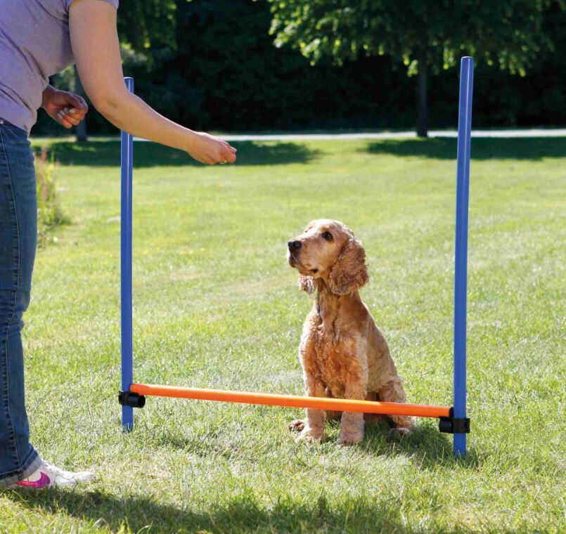 Trixie-Dog-Activity-Agility-Huerde-training-erziehung-vestellbar-hunde-24-3207