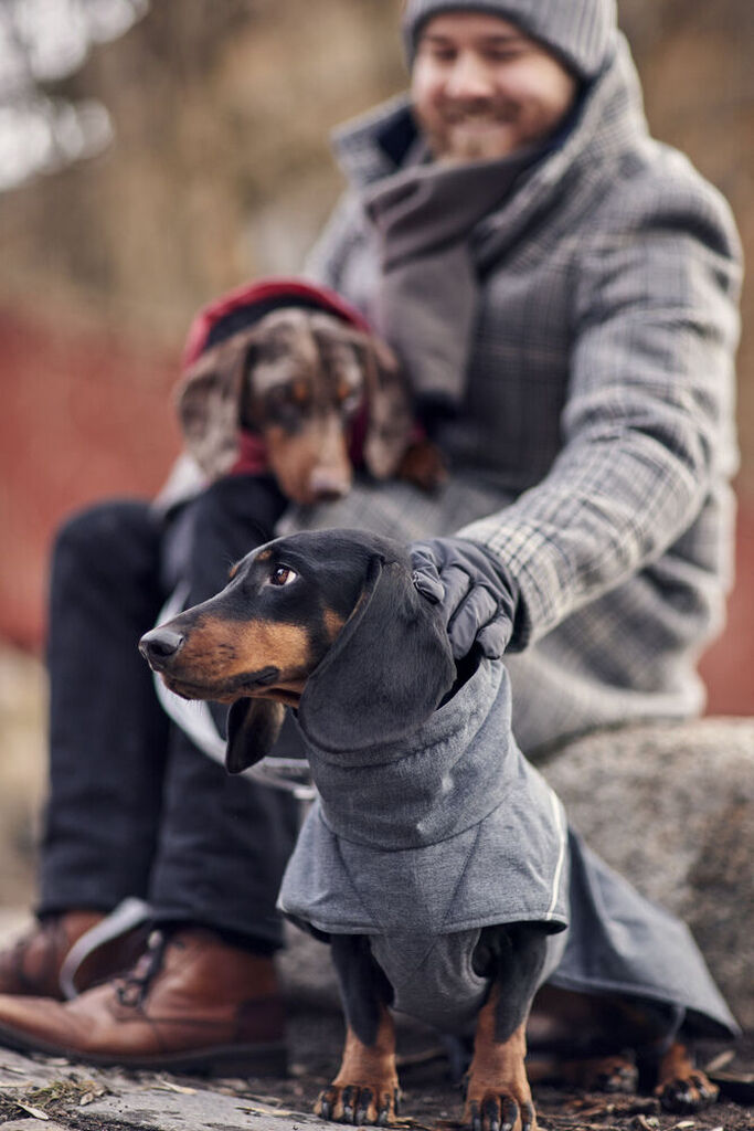 Hurtta-Expedition-Parker-II-blackberry-Hunde-Regenmantel-HU-934780 Hurtta-Expedition-Parker-II-blackberry-Hunde-Regenmantel-HU-934780