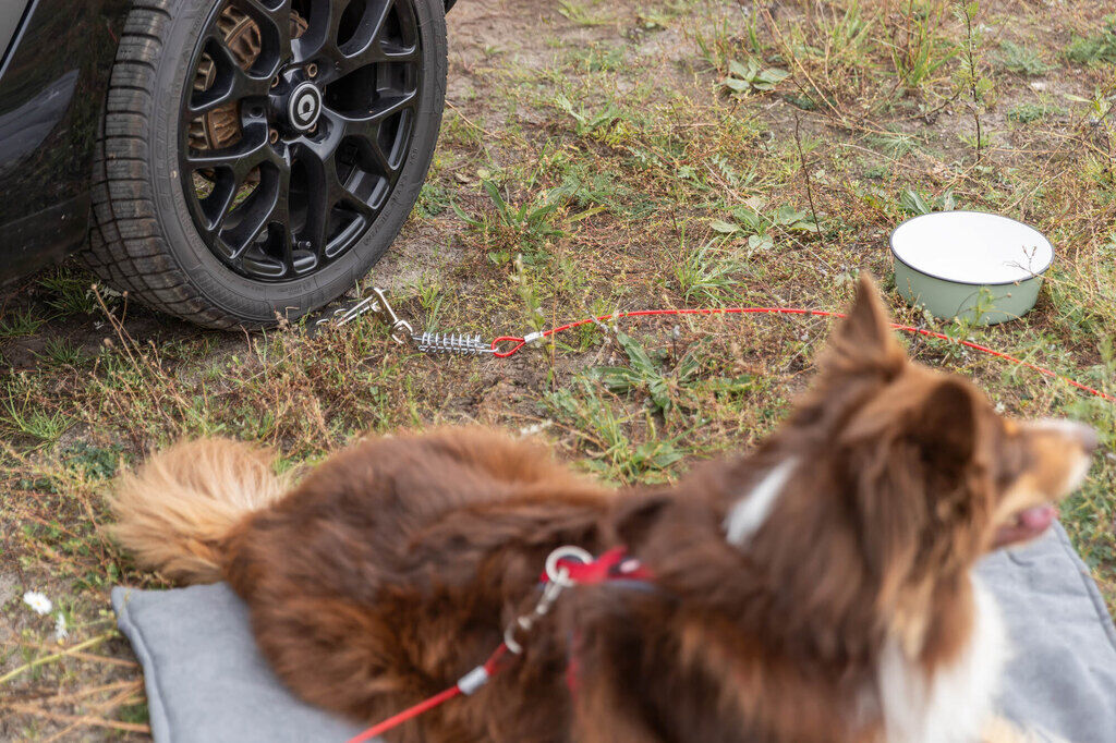 Trixie-Auffahrplatte-zum-Anleinen-Hund-Campingurlaub-sicher-anleinen-24-13099 Trixie-Auffahrplatte-zum-Anleinen-Hund-Campingurlaub-sicher-anleinen-24-13099